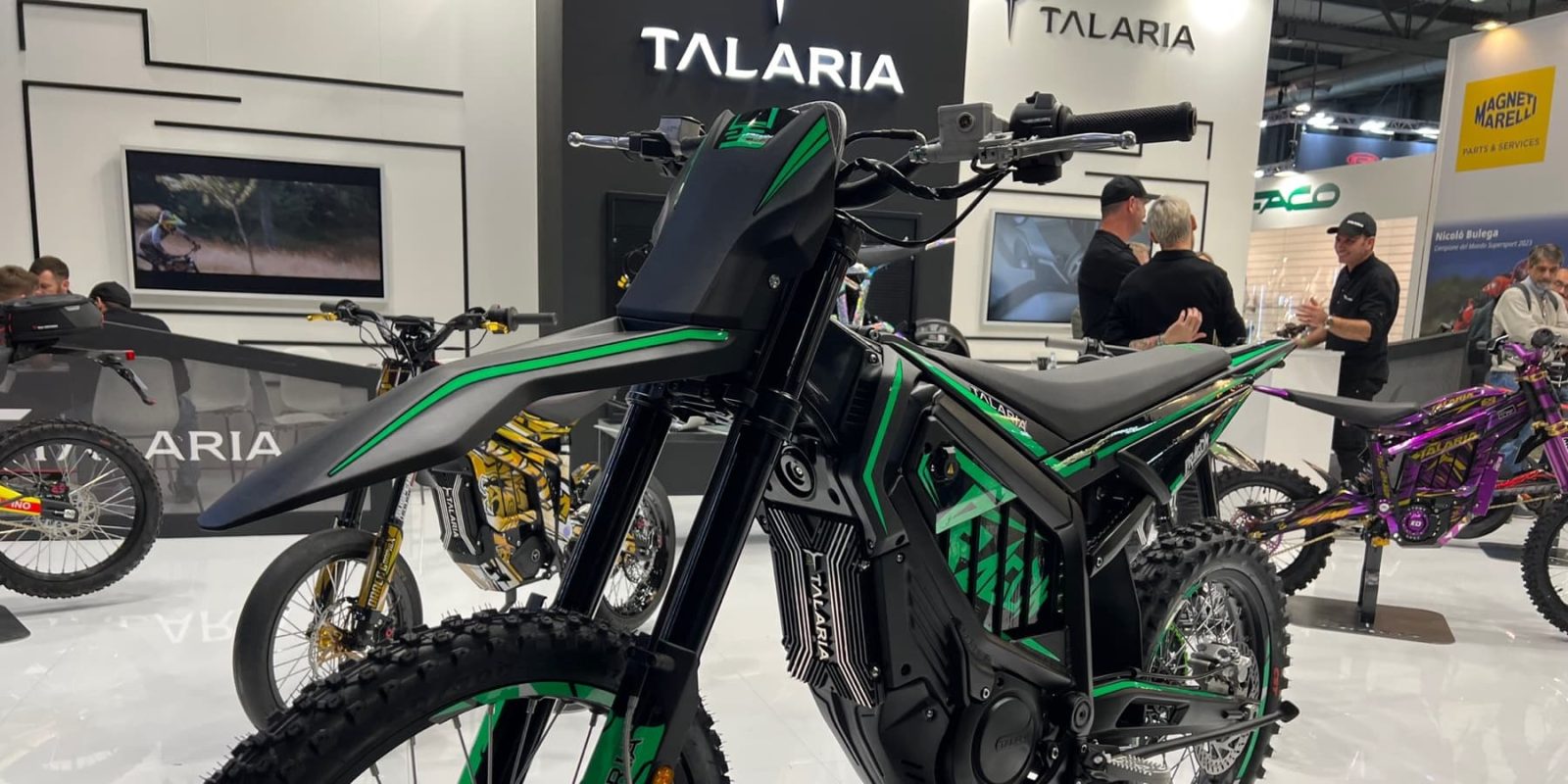 talaria dragon